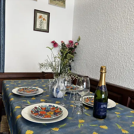 Paloma Apartment